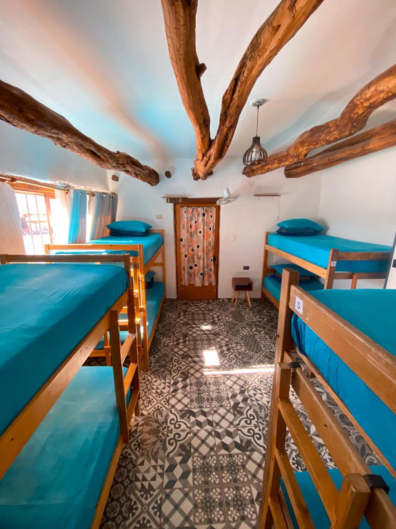 Rey Lagarto Hostel San Pedro de Atacama Ngoại thất bức ảnh