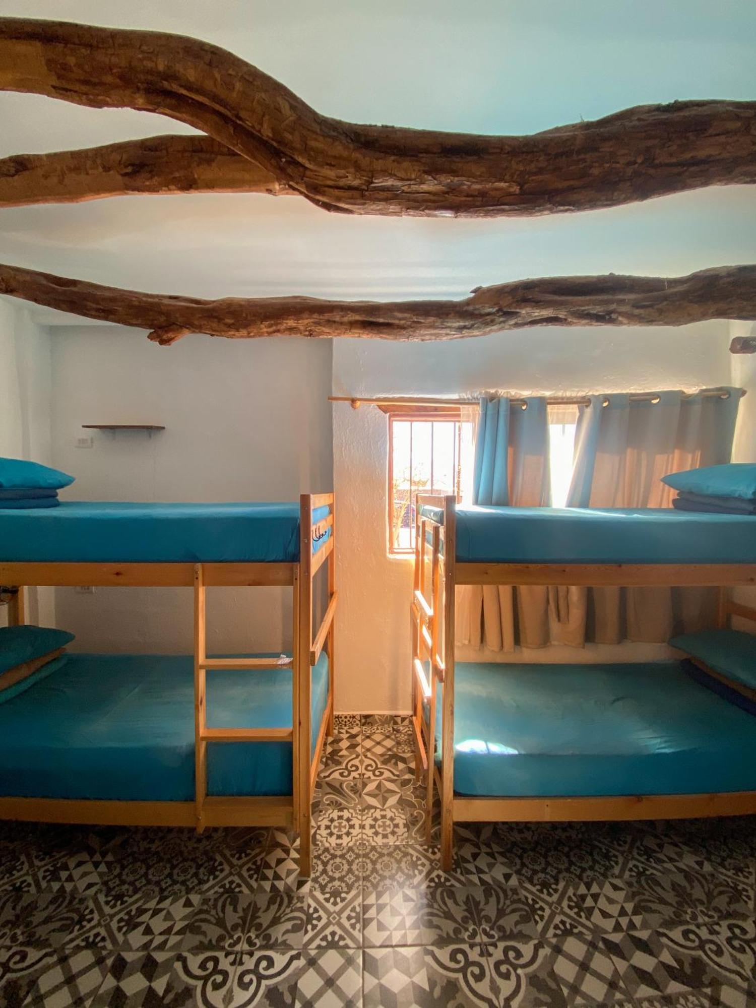 Rey Lagarto Hostel San Pedro de Atacama Ngoại thất bức ảnh